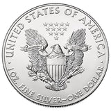 2019 / Silver American Eagle