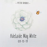 Peter Rabbit Nursery CoinArt / Aqua