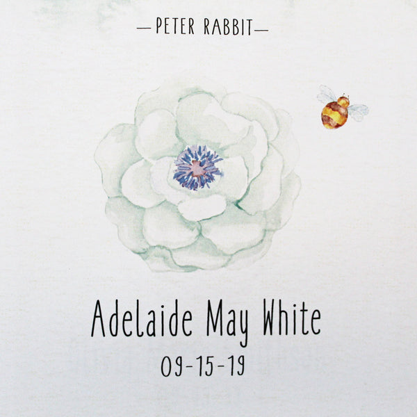 Peter Rabbit Nursery CoinArt / Aqua