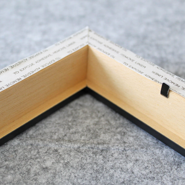 DIY Frame and Mat Kit / Rectangle Opening