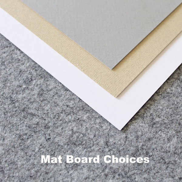 DIY Certificate Frame and Mat Kit