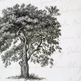 Family Tree CoinArt