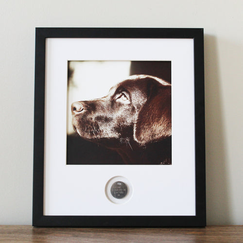 Pet Memory DIY Frame Kit