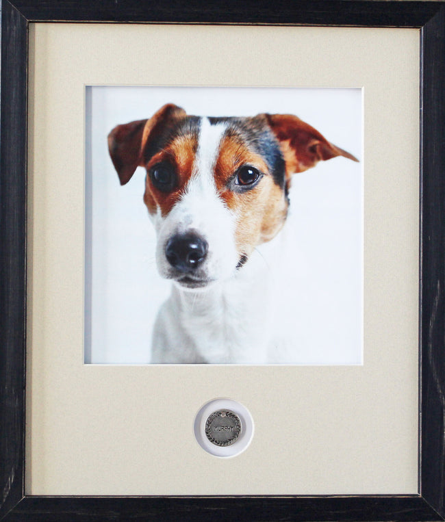 Pet Memory DIY Frame Kit