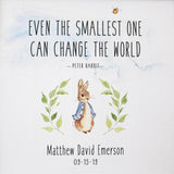 Peter Rabbit Nursery CoinArt / Blue