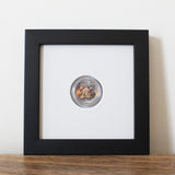 DIY CoinSquare Kit